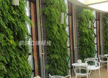 影響室內(nèi)植物墻的環(huán)境因素有哪些？