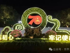 立體綠化速成班：國慶期間的城市美化技巧