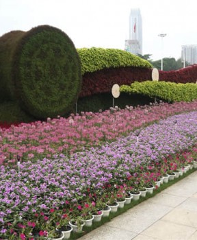 公園景觀(guān)綠化提升