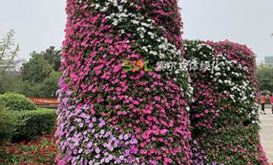 國(guó)慶廣場(chǎng)景觀提升