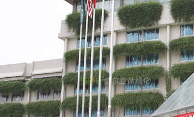 賓館窗臺綠化美化