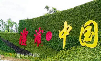 植物墻景觀提升