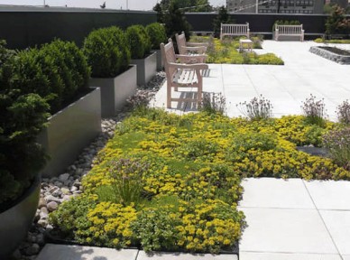 學(xué)校立體綠化解決方案簡(jiǎn)介