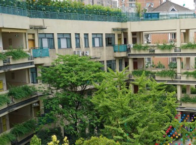 學校立體綠化解決方案