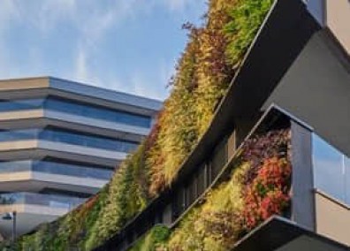 小區(qū)立體綠化解決方案