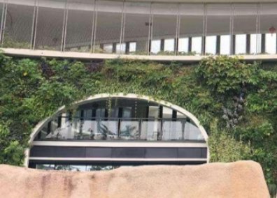 學(xué)校立體綠化解決方案