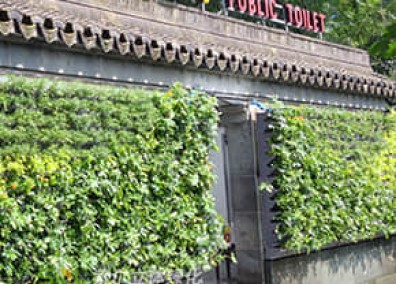 公廁生態(tài)環(huán)境解決方案