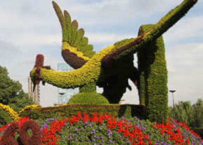 廣場(chǎng)景觀提升解決方案