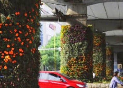 橋墩綠化解決方案