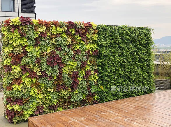 杭州西溪谷商務(wù)中心屋頂花園工程案例