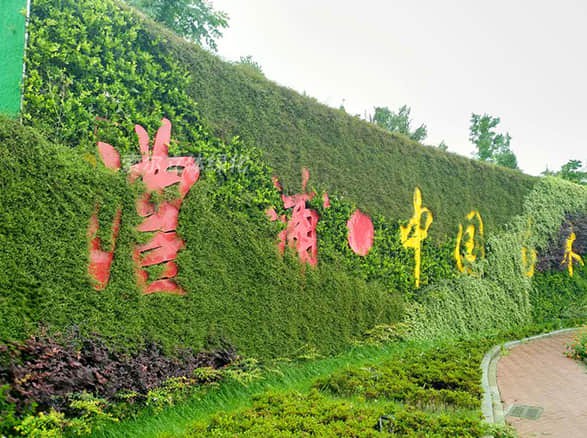 金華苗木城植物墻項(xiàng)目