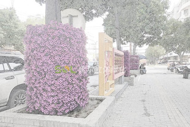 行道樹景觀設計效果圖