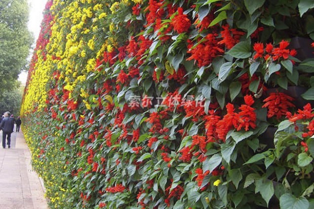 植物墻設計實際效果圖