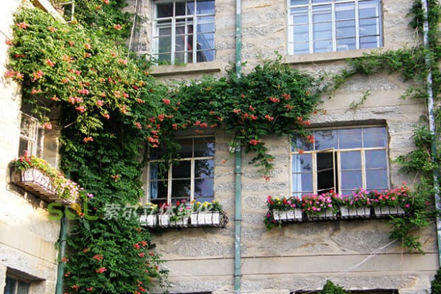 窗臺美化景觀設計實際效果圖