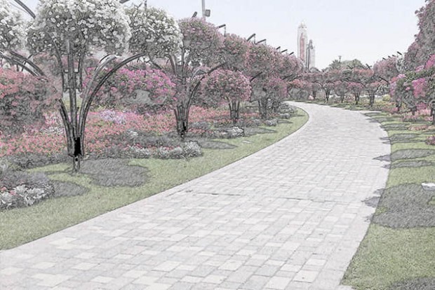 花樹景觀設計效果圖