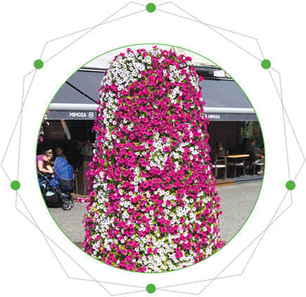 鮮花瀑布/拱門的特點