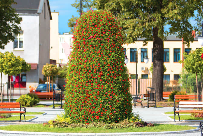 廣場(chǎng)景觀提升3