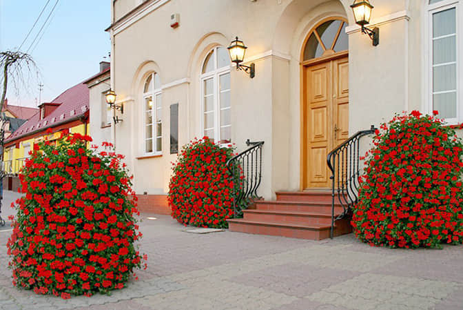 小區(qū)景觀提升2