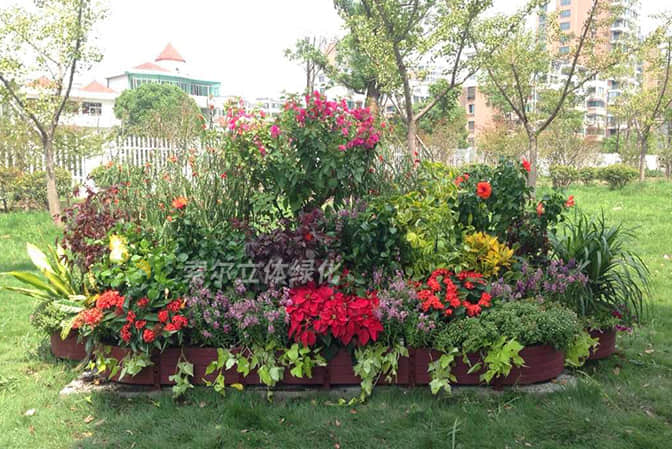 廣場公園及其他景觀提升2公園