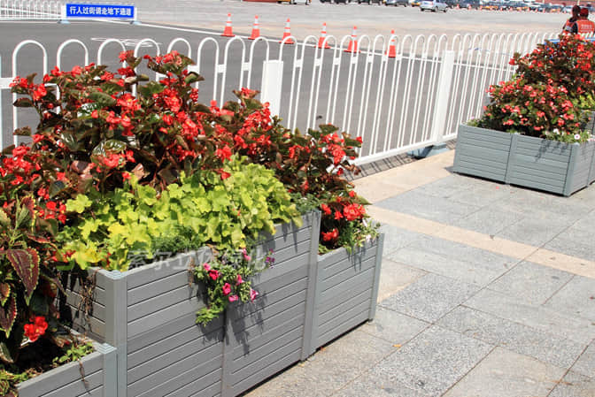 廣場公園及其他景觀提升1廣場