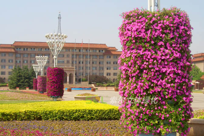 廣場公園景點景觀提升1