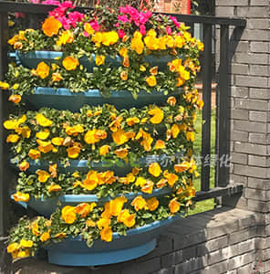 立面護(hù)欄綠化