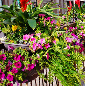 護(hù)欄綠化-雙面掛