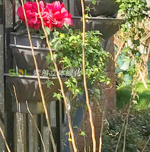 護(hù)欄綠化-單面掛