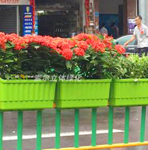 騎式護(hù)欄綠化