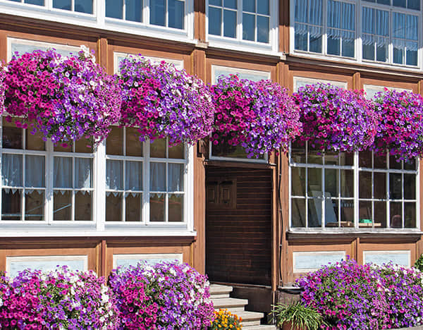 窗臺美化解決方案簡介