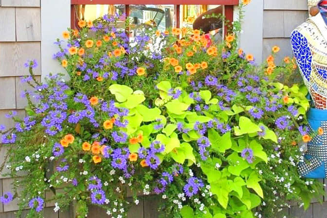 道路街道景觀提升步行街門店窗臺美化