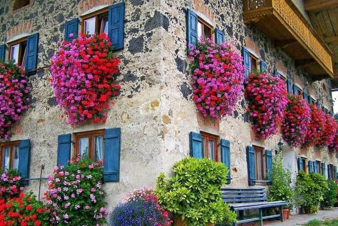 旅游小鎮景觀提升民宿客棧窗臺美化