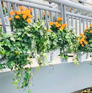 人行天橋綠化-單面掛