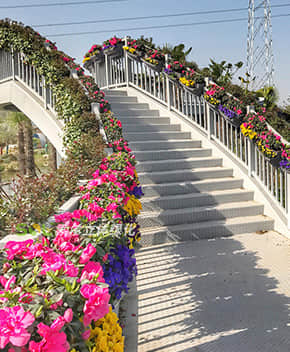 人行天橋綠化解決方案