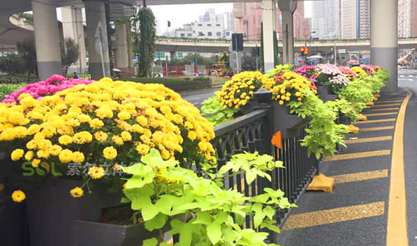 護欄綠化解決方案