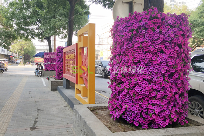 行道樹綠化道路街道景觀提升1