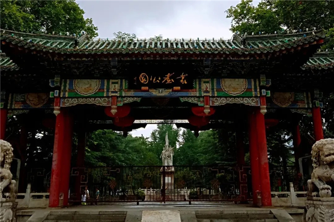 邯鄲首個“墻上花園”亮相，不但好看，還能降噪、除塵！ (1).jpg