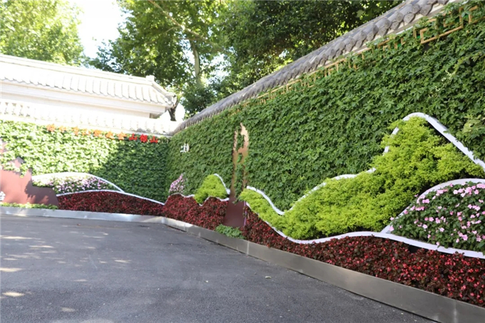 邯鄲首個“墻上花園”亮相，不但好看，還能降噪、除塵！ (4).jpg