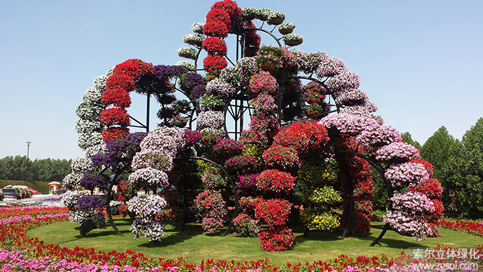 42迪拜奇跡花海 (14).jpg