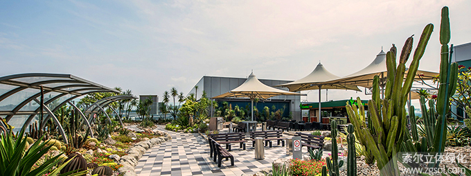31新加坡樟宜機場屋頂花園仙人掌花園01.jpg
