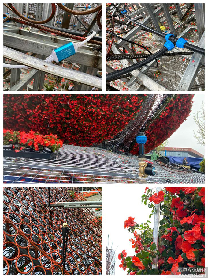 30山東青島膠州市民文化中心五一立體花壇“幸福花開(kāi)”  (13).jpg