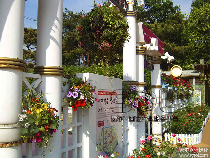 12 護(hù)欄綠化 (3).jpg