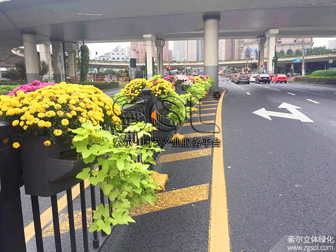 18護(hù)欄綠化 (6).jpg