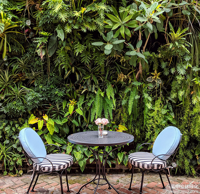 13植物墻 (12).jpg